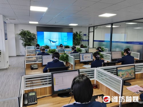 潍坊人注意！月底前记得这件事——信息咨询服务费缴费指南